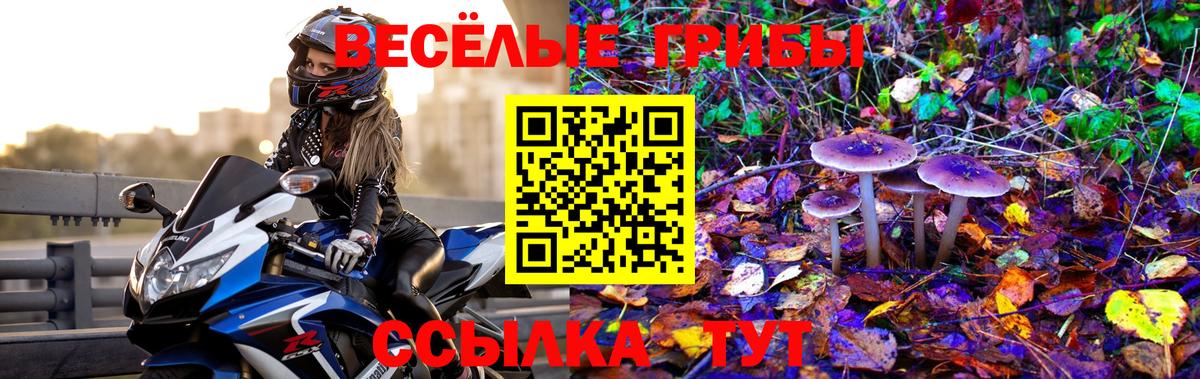 Галлюциногенные грибы прущие грибы Биробиджан