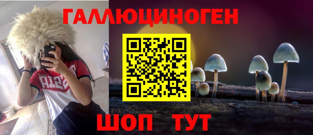 Галлюциногенные грибы Cubensis  Вход с VPN  Галлюциногенные грибы Psilocybe  Биробиджан 