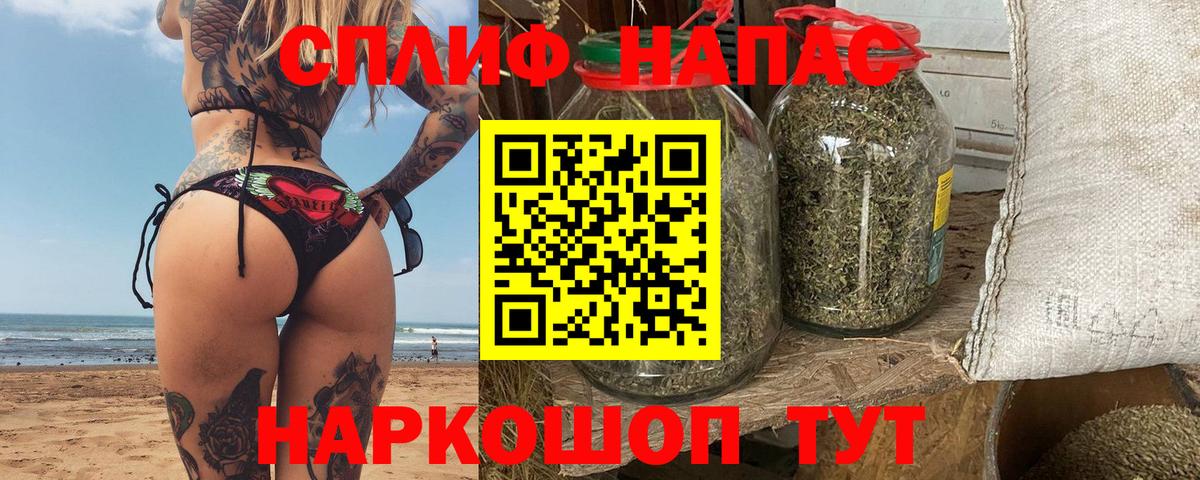 Каннабис сатива Биробиджан